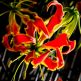 Crin de Malabar Gloriosa Rothschildiana